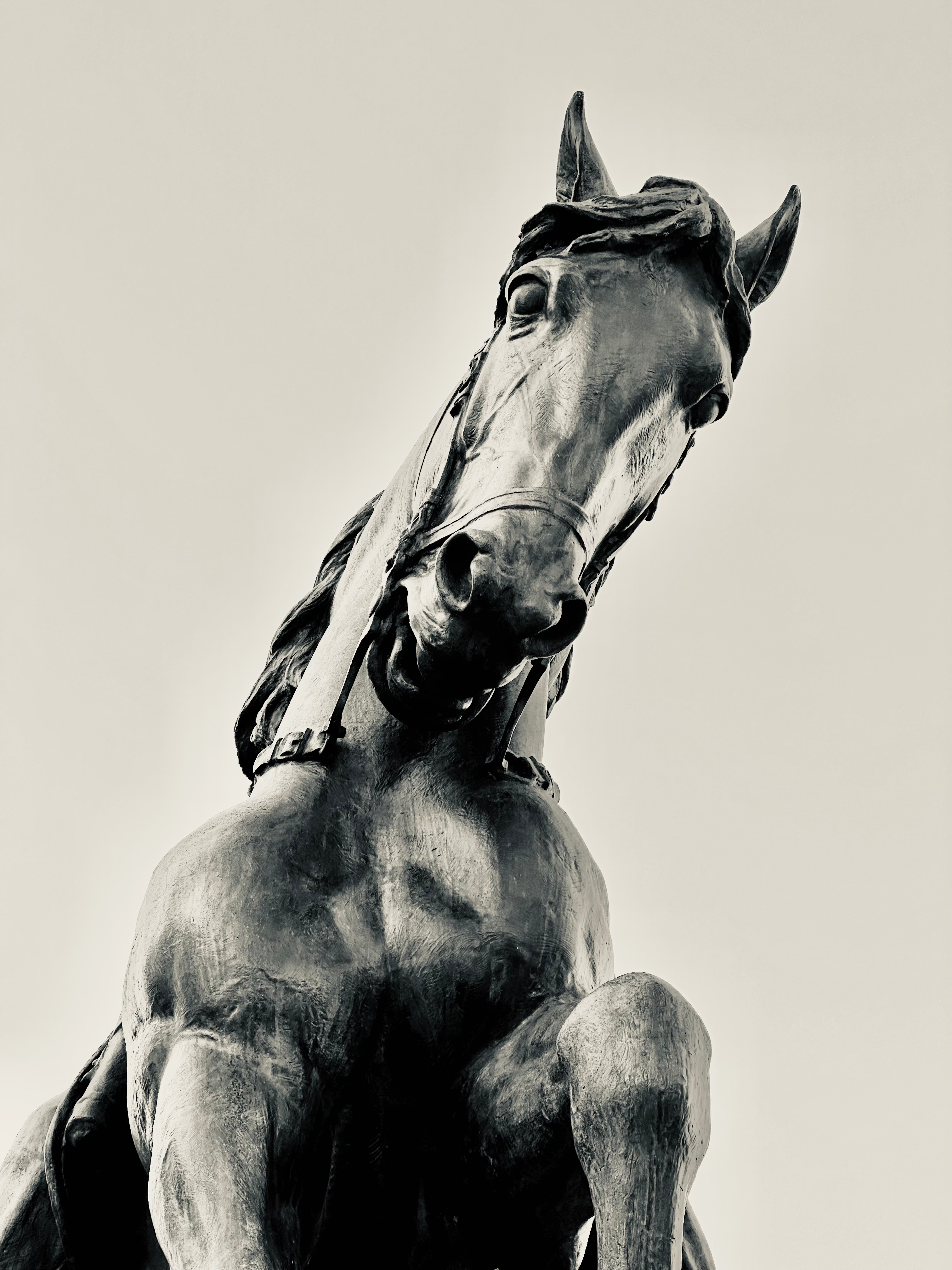 Horse Statue Albany