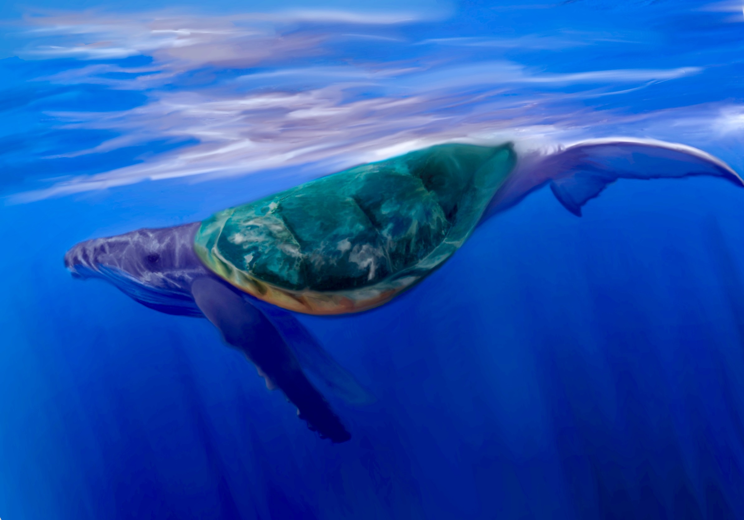 Whale with Shell