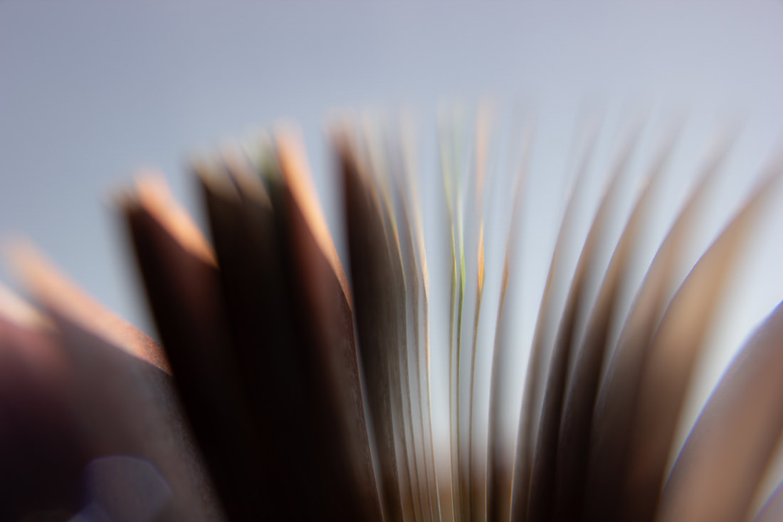 Abstraction Photo