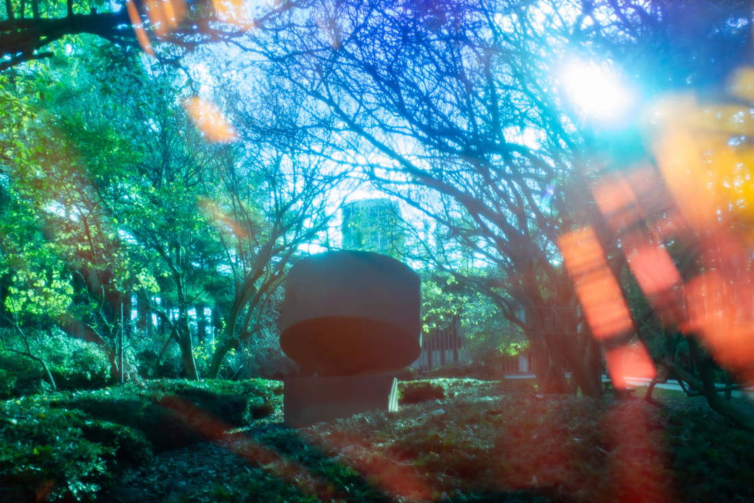 Mimic Photo 3