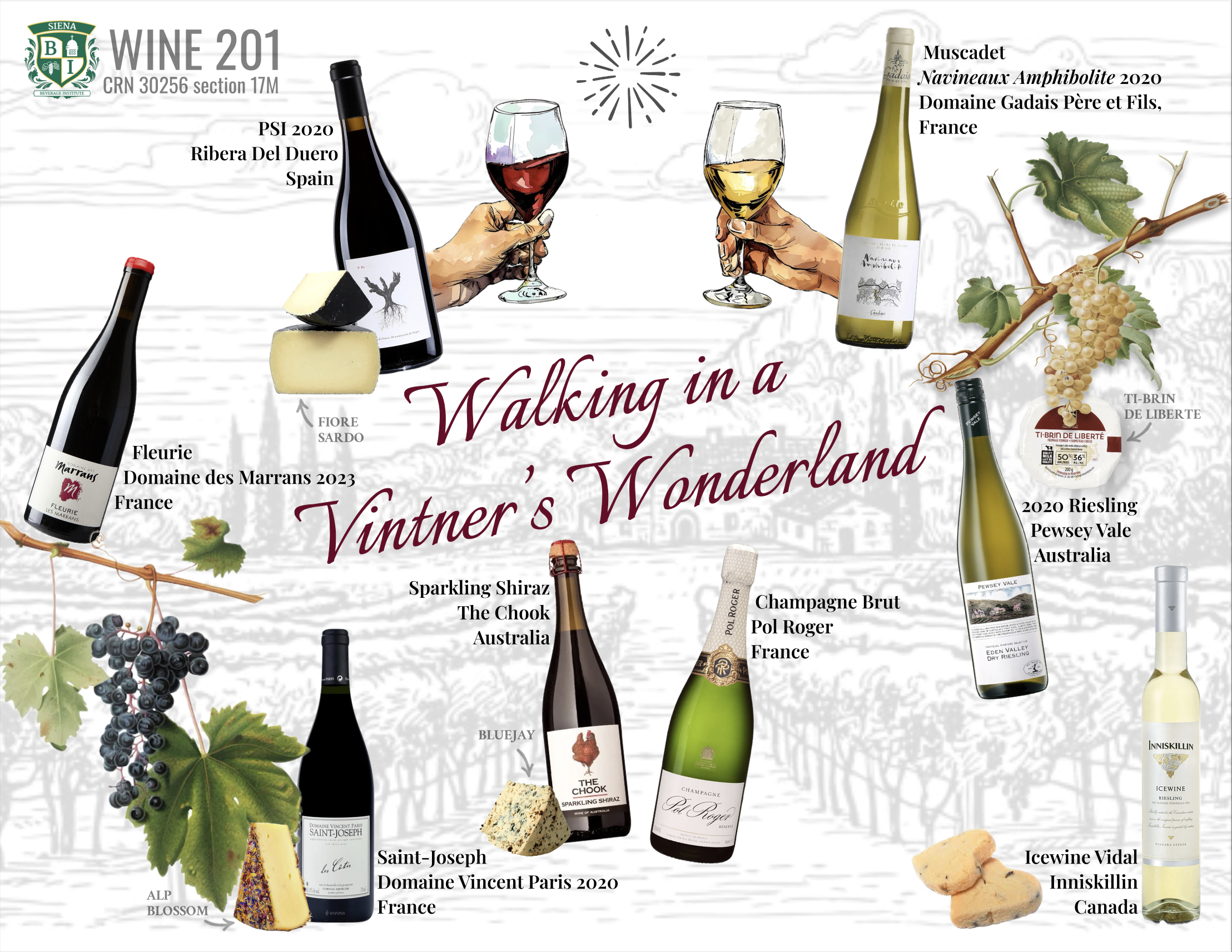Wine Tasting Sheet